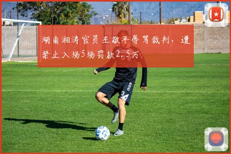 湖南湘涛官员王敬平辱骂裁判，遭禁止入场5场罚款2.5万