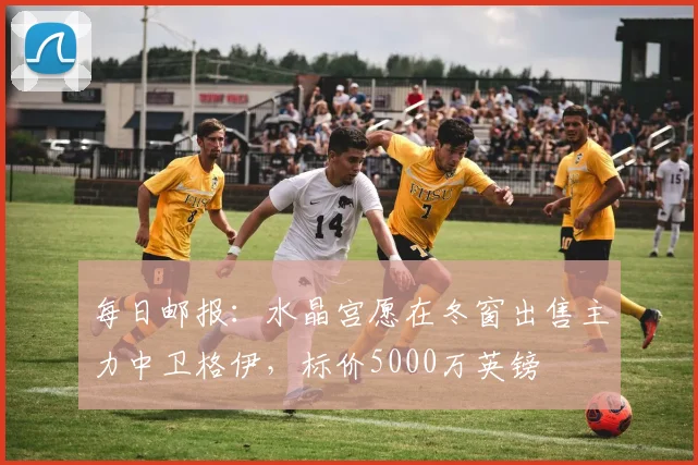 每日邮报：水晶宫愿在冬窗出售主力中卫格伊，标价5000万英镑